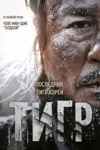  Тигр 