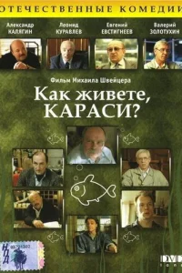  Как живете, караси? 